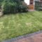 Lawn Turfing